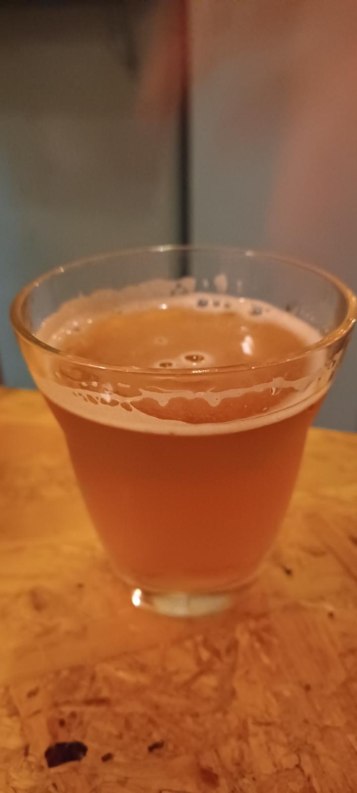 The IPA (iBrew House Beer)