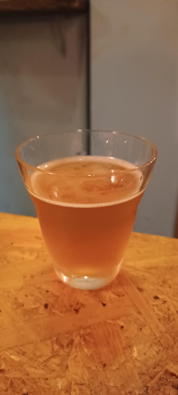 Shimizu Lager