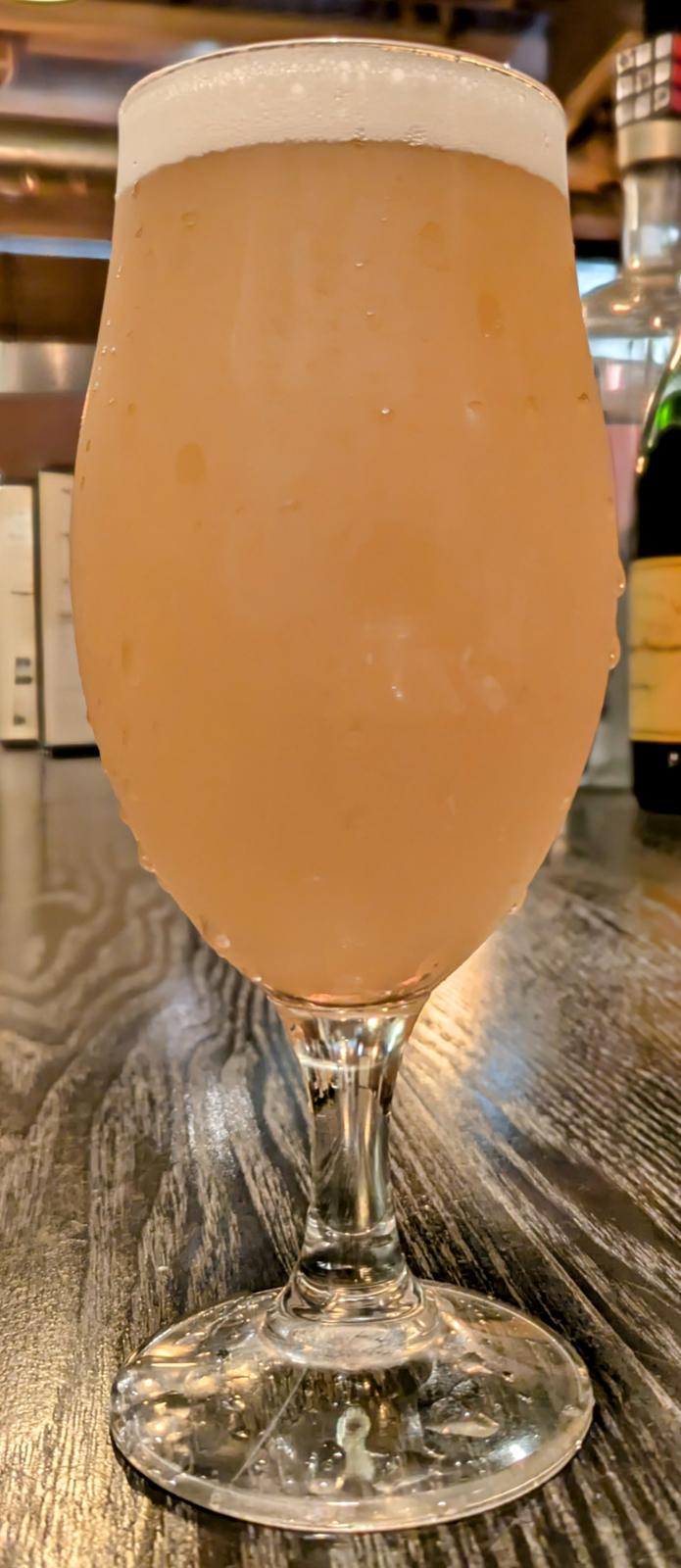 Fujizakura Heights Dragon Mosaic Hazy IPA