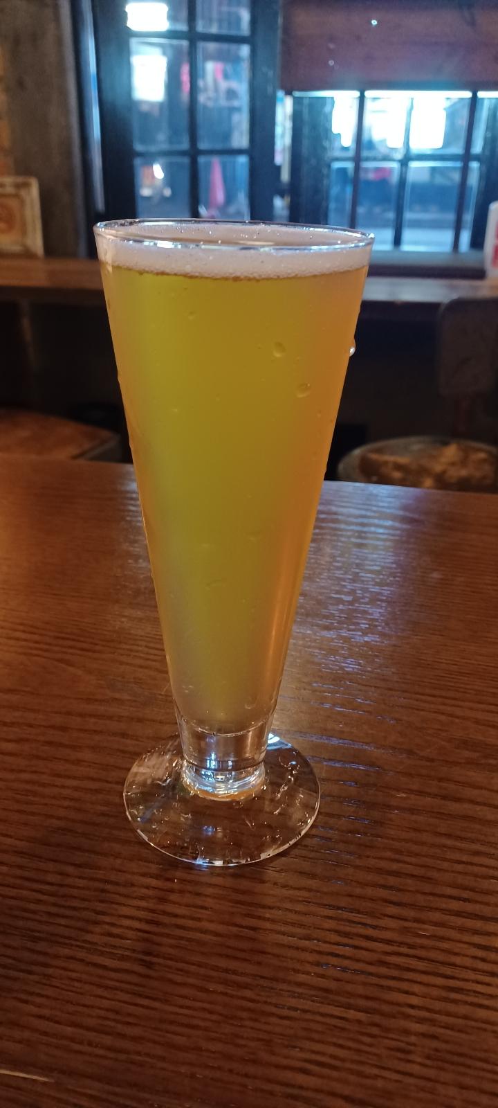 Yuzu Ume~ White Ale