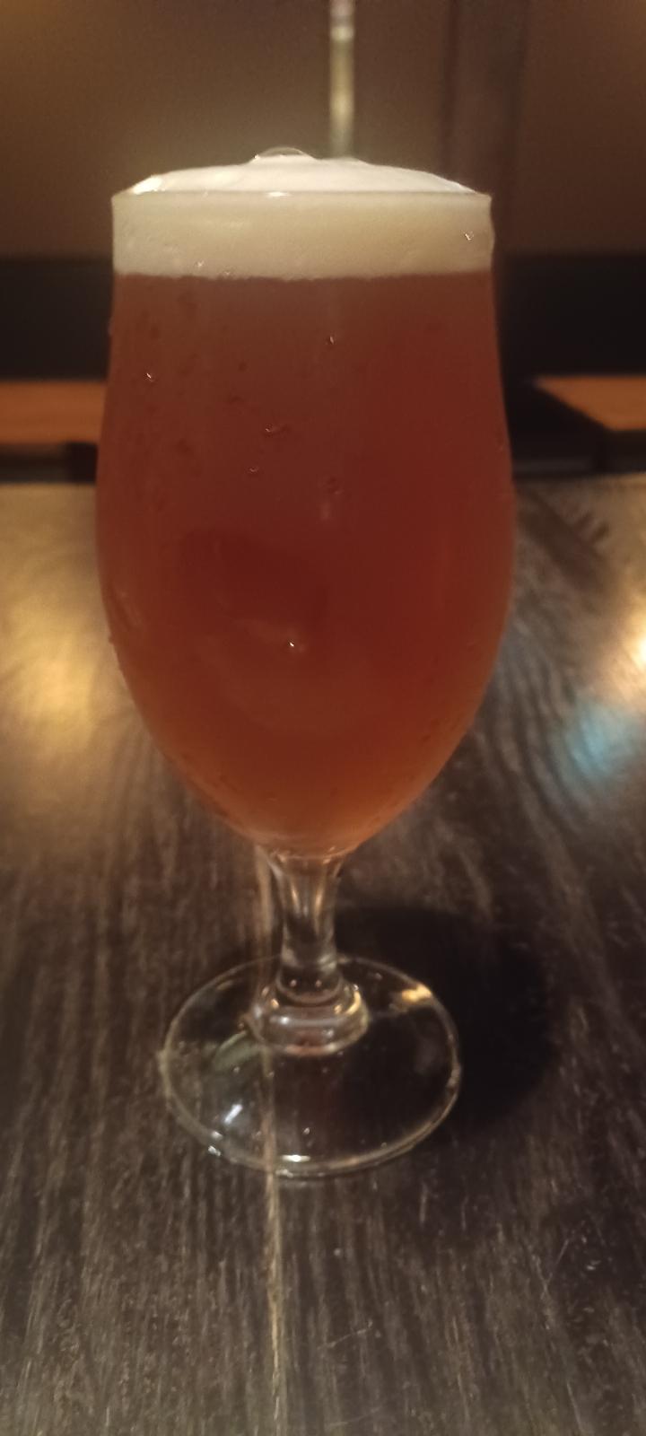 Iwatekura Ouran IPA (Sakura Storm) (2023)