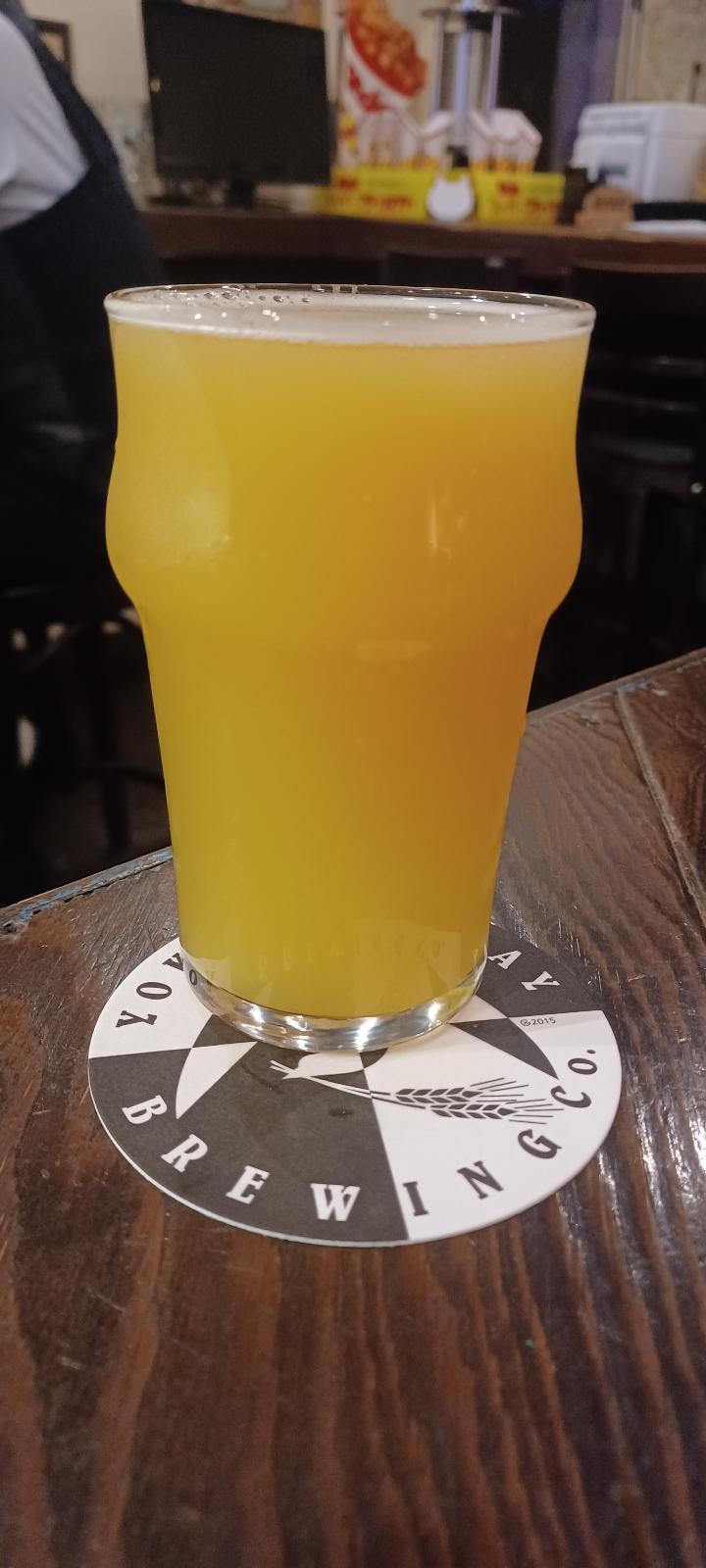 Skid Hazy IPA