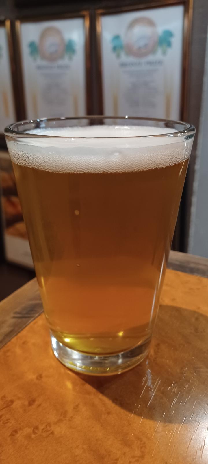 Shimokita Kölsch