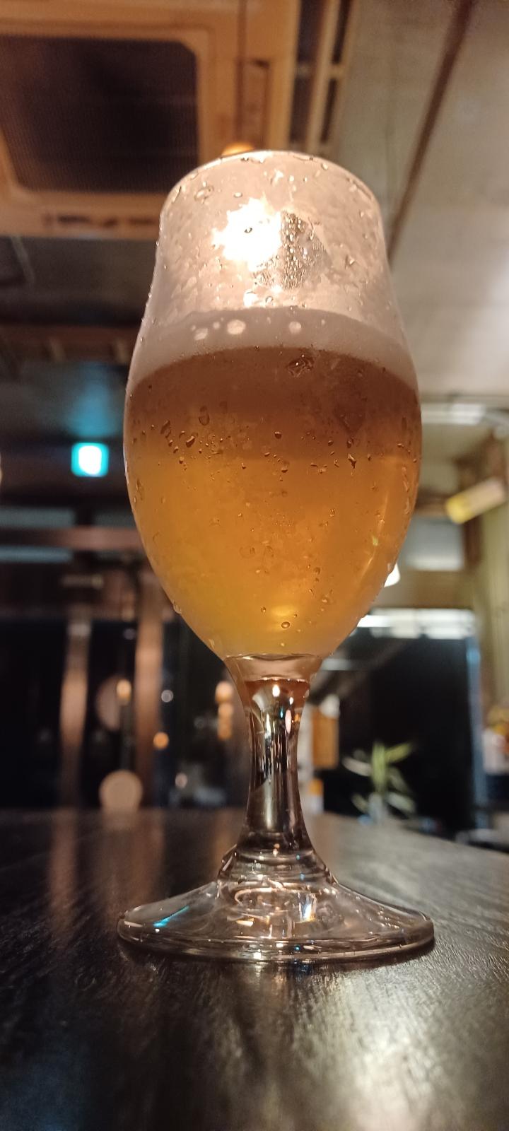 Lo-Cold IPA