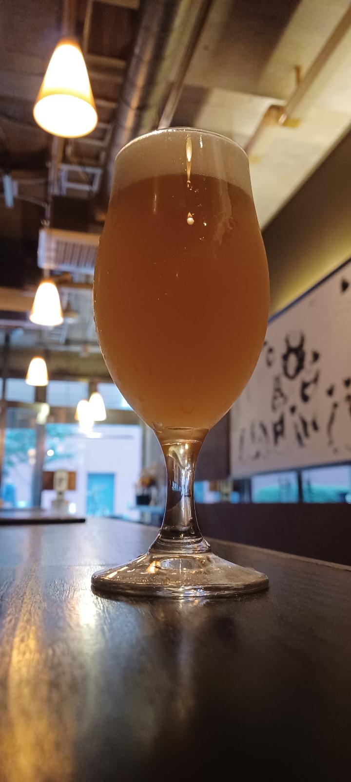 Hideji Grapefruit Hazy IPA