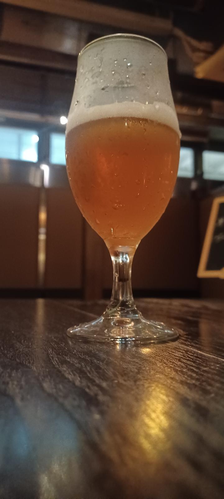 Hansharo Izu Papaya IPA