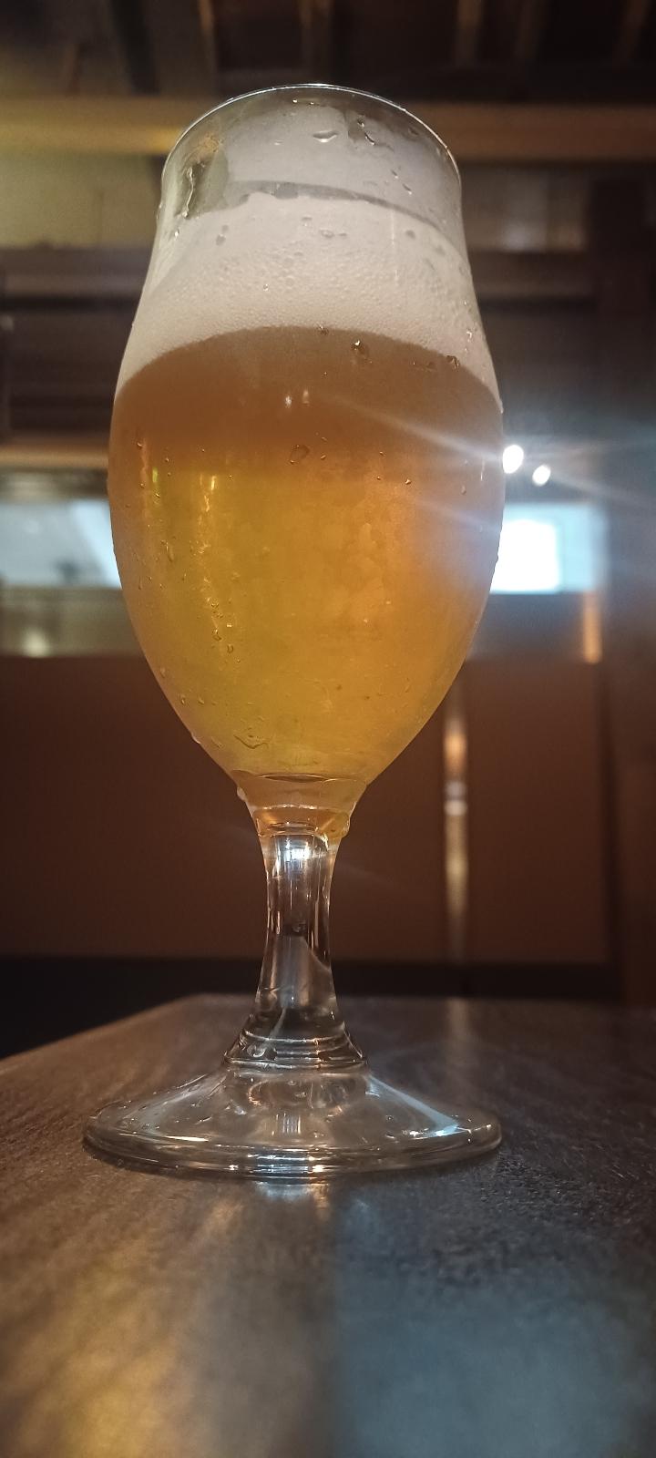 Not Hazy B-IPA