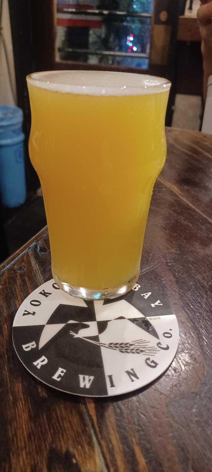 12th Anniversary Juicy IPA