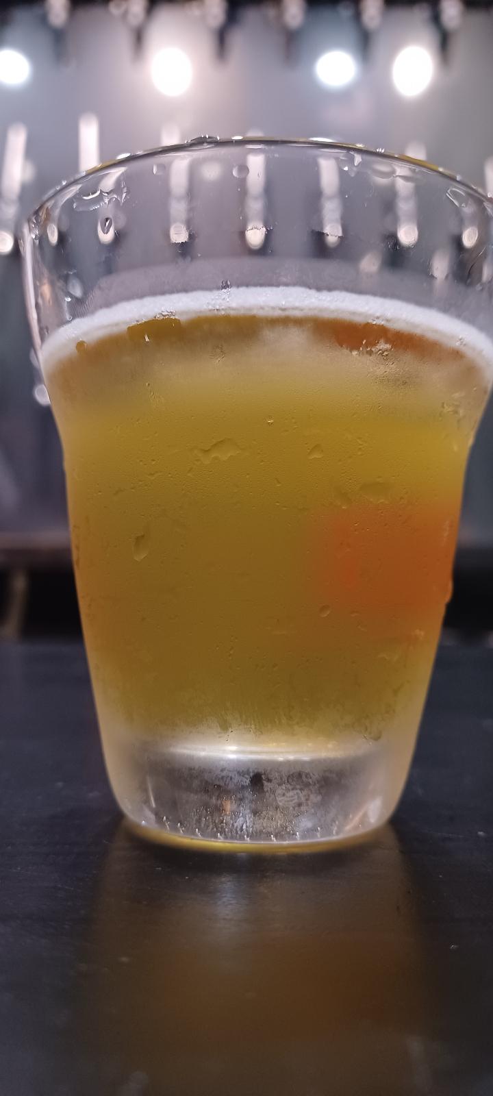 Aomori Fresh Hop Lager (2023)