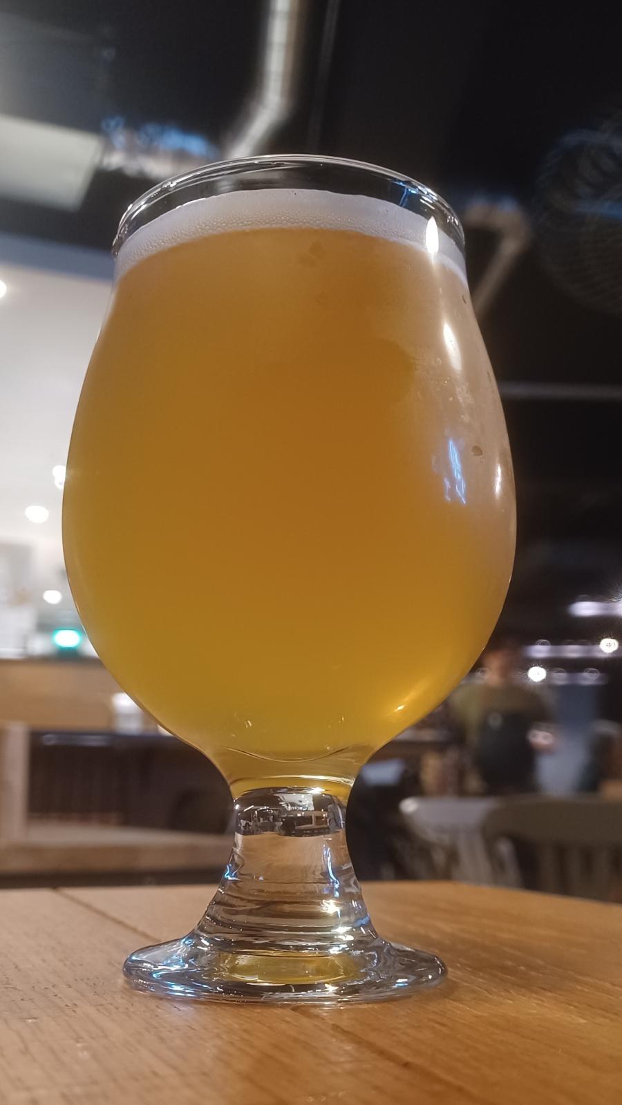 Yorocco Harvest Saison (2023)