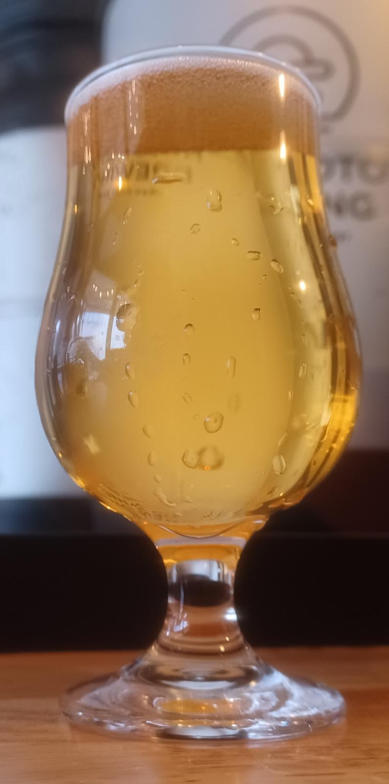 Farmhouse Ale V2