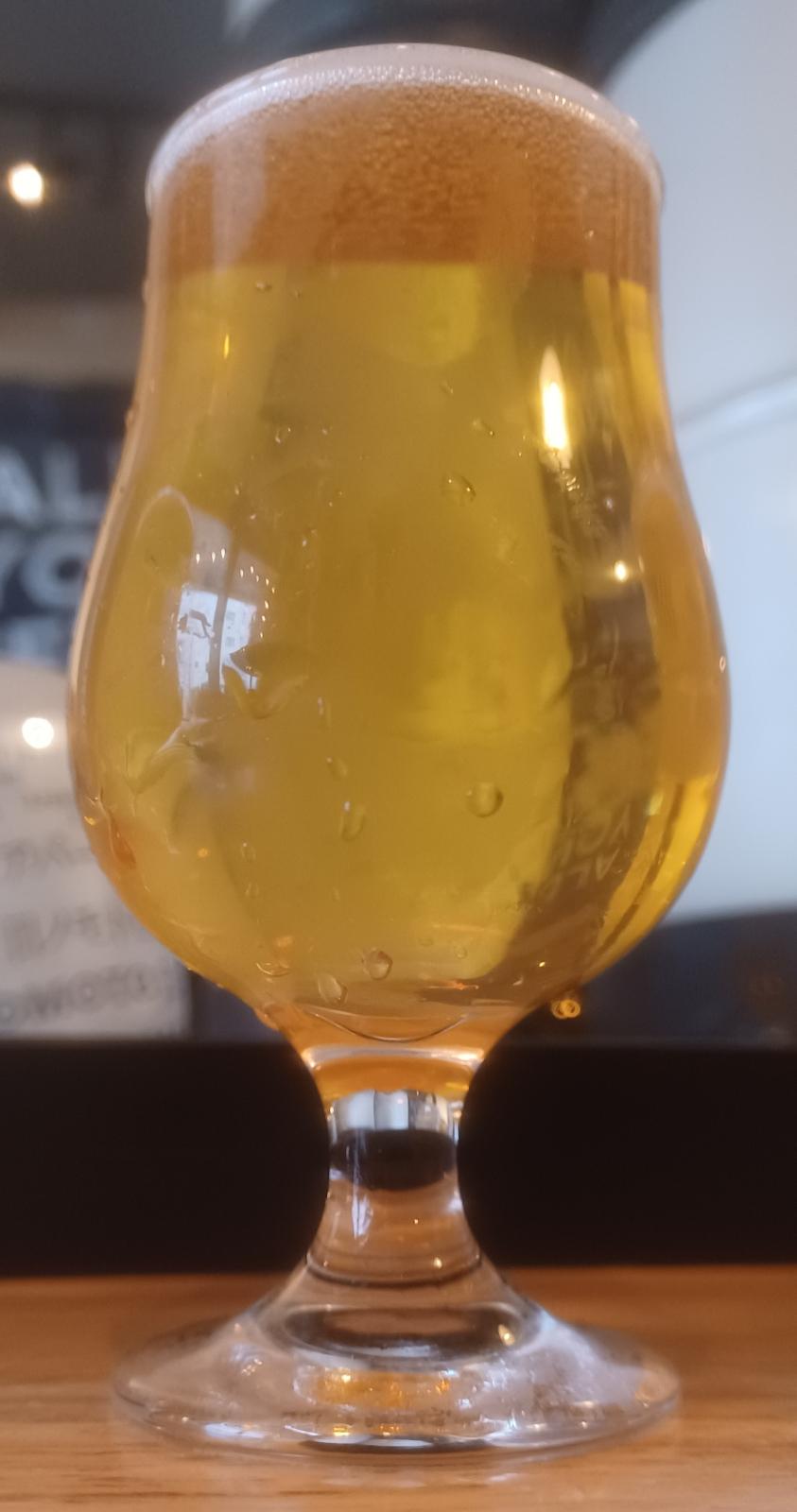 Sauvignon Belgo V2