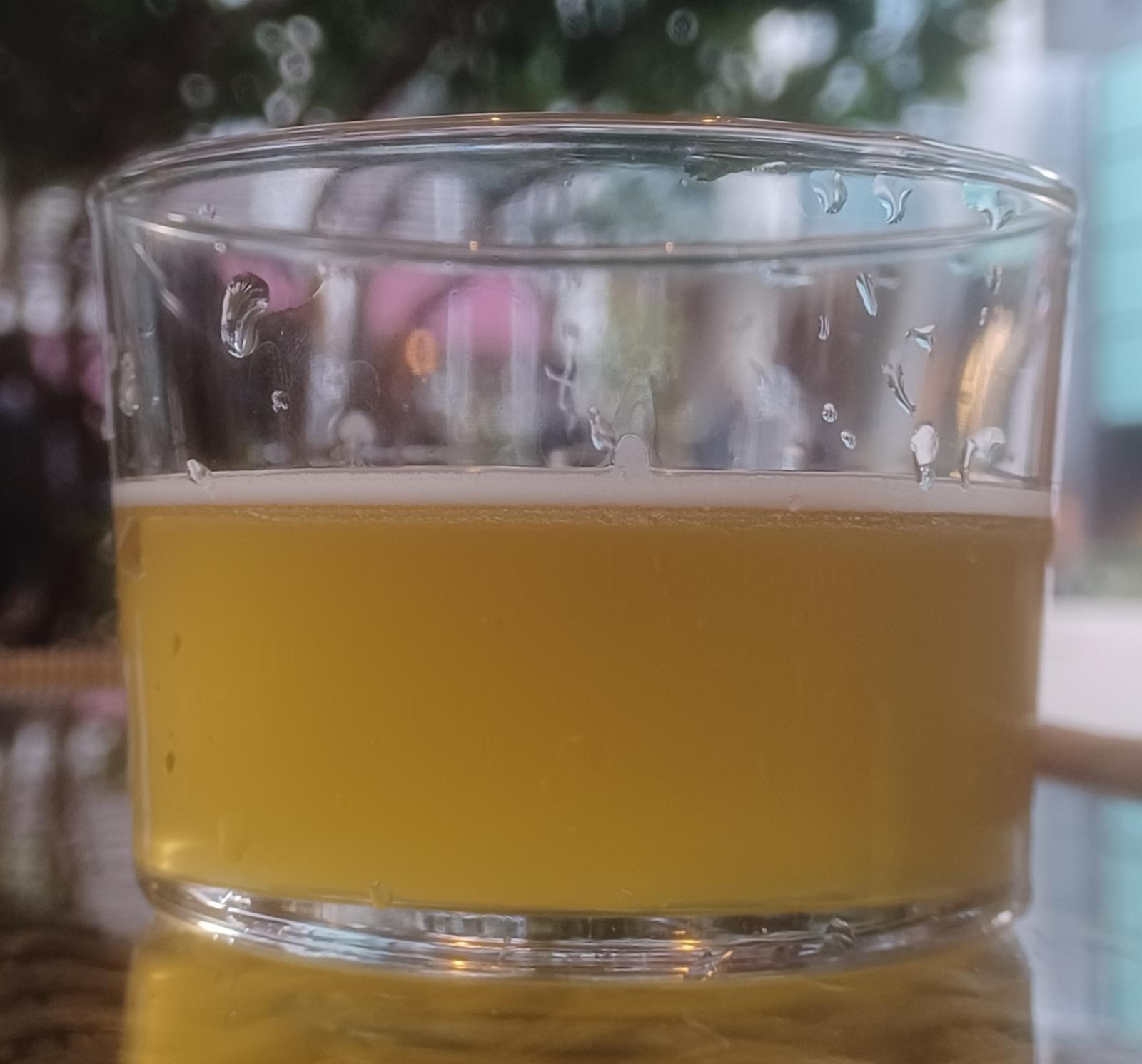 Masala Beer