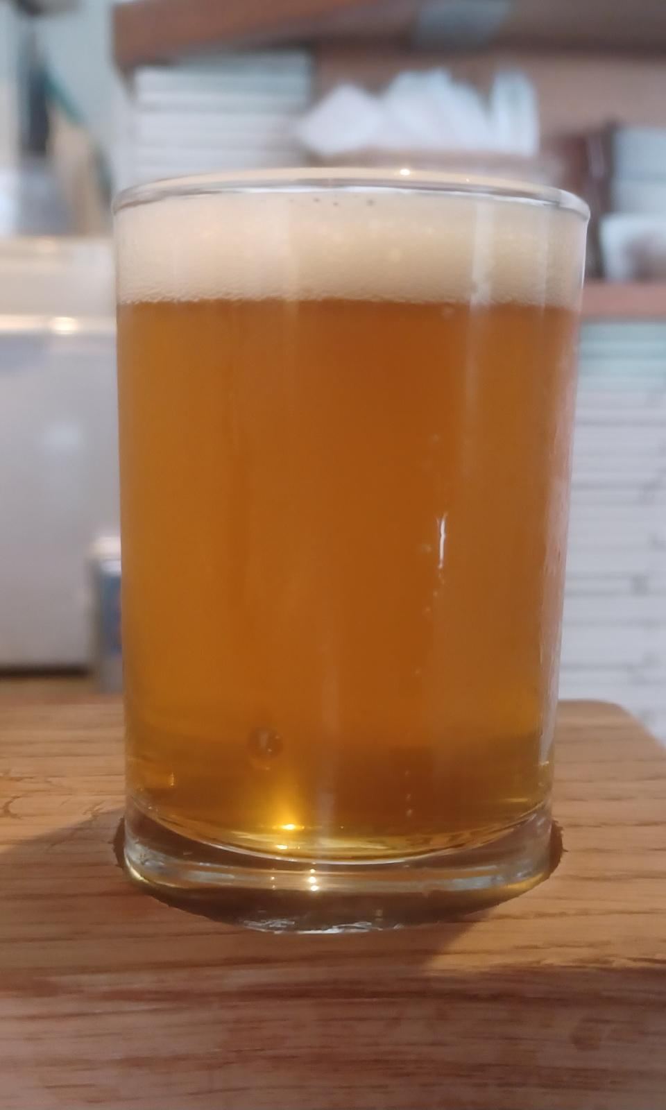 T.A.S.T.Y IPA