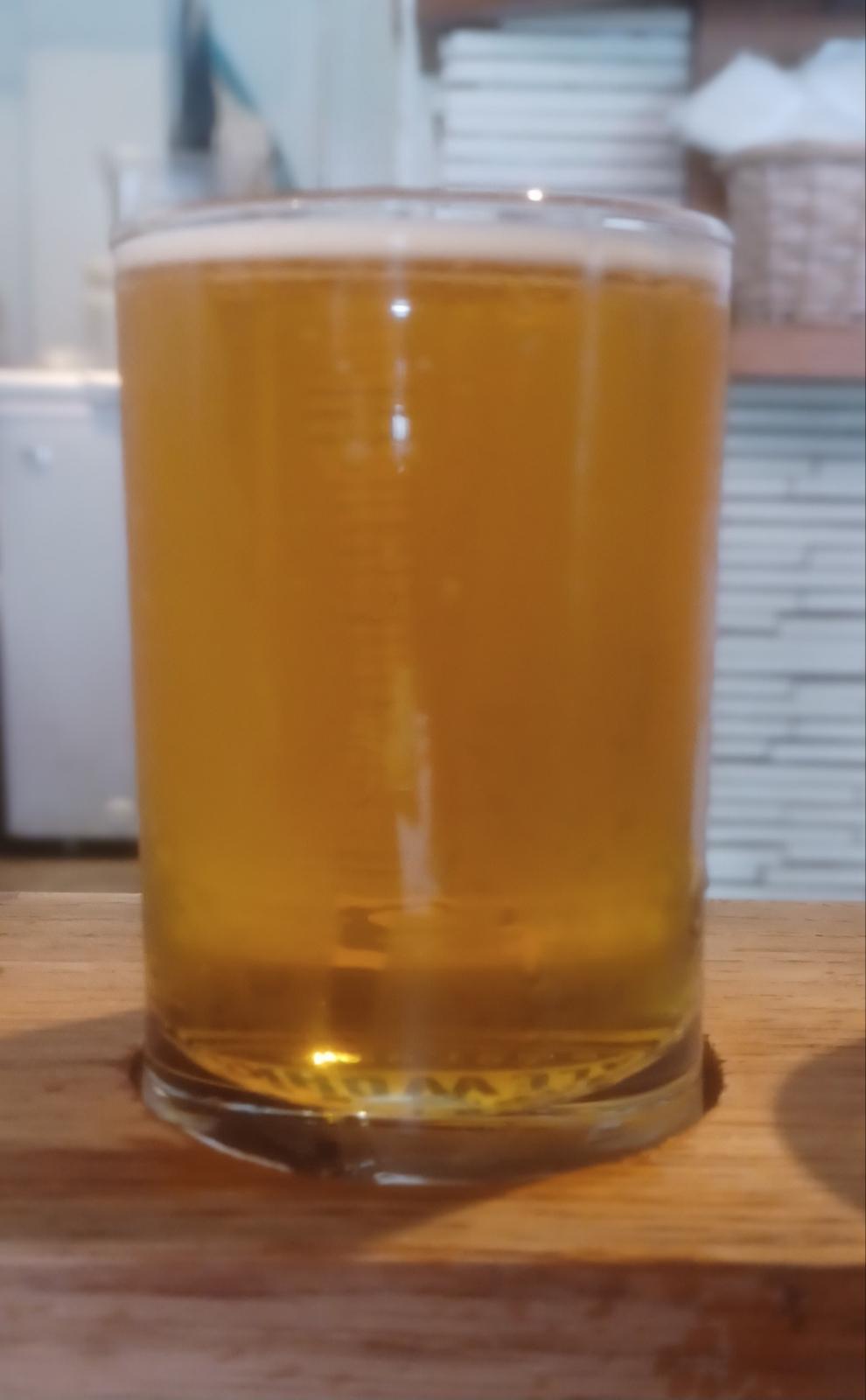 Asakusa Mosaic IPA