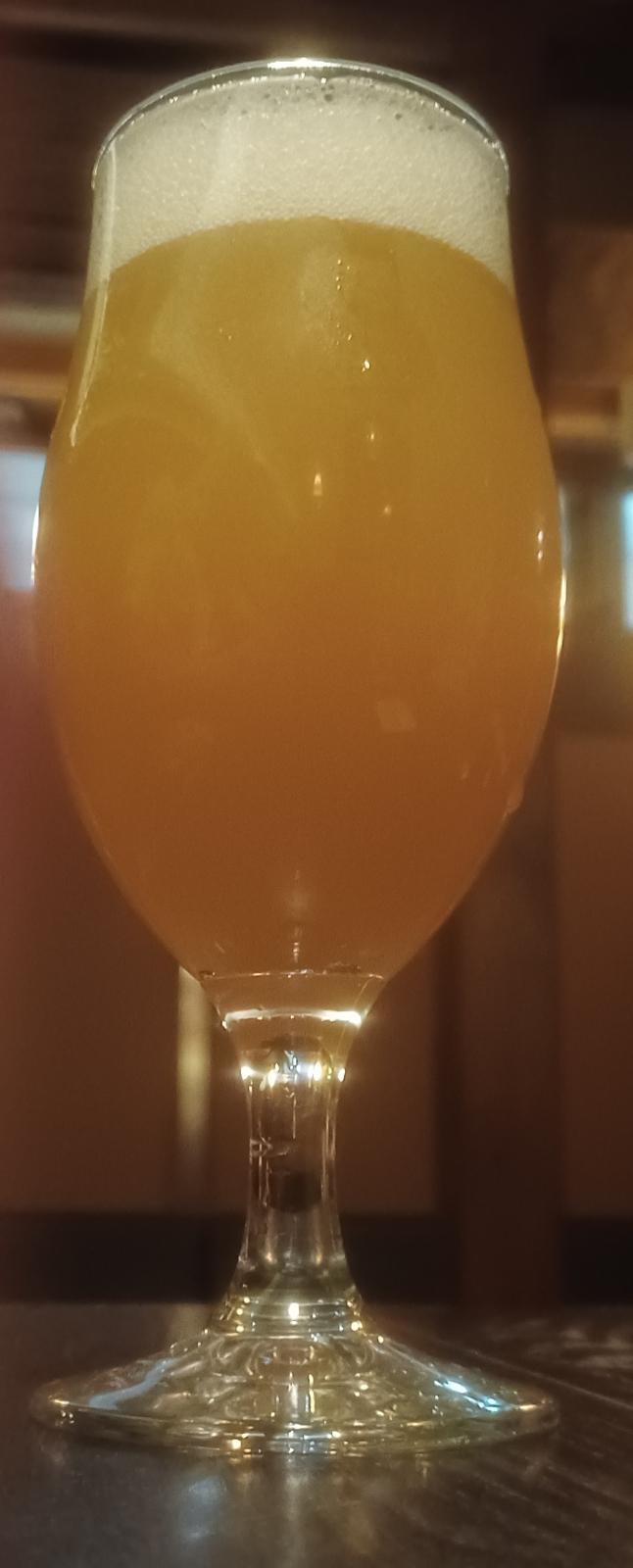 Nagahama Kiwi IPA