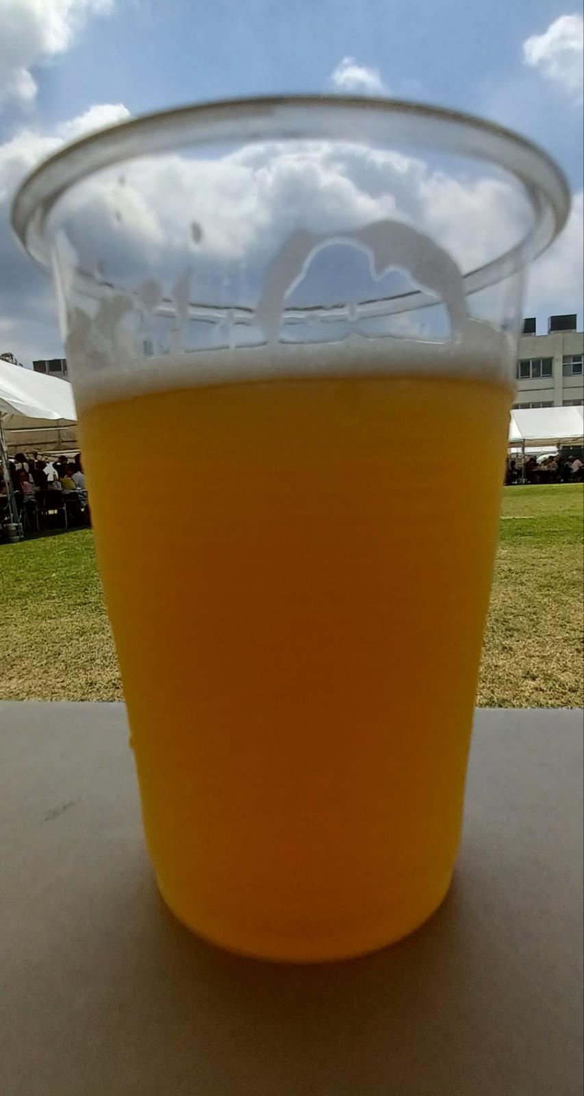 Hazy IPA