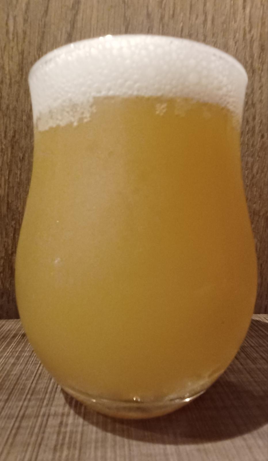 Folky Camady Hazy IPA