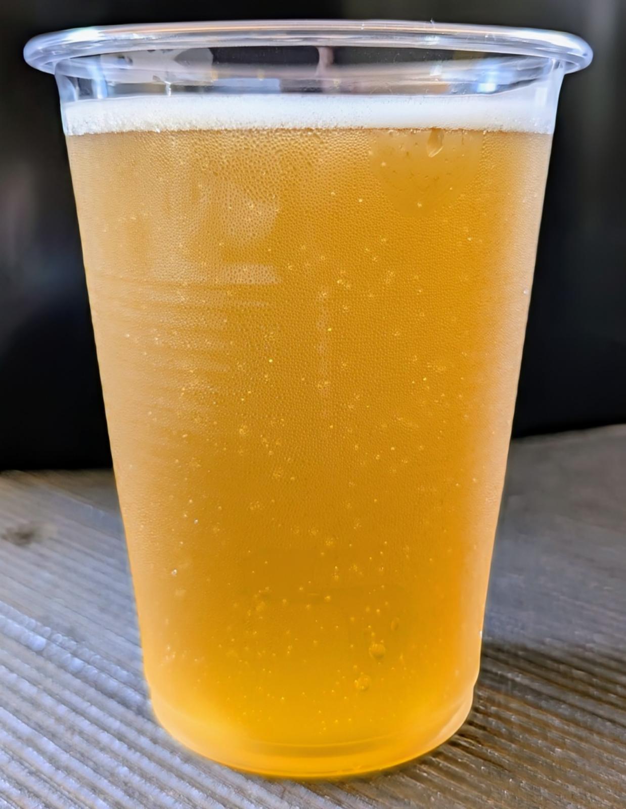 FC Tokyo In Ao-Aka Park