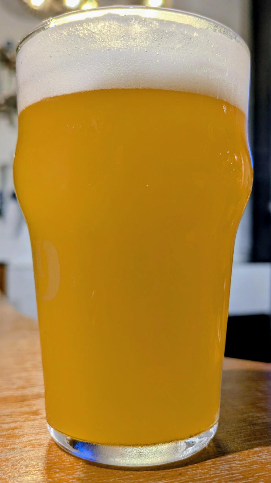 Ise Kadoya Jungle Fantasy