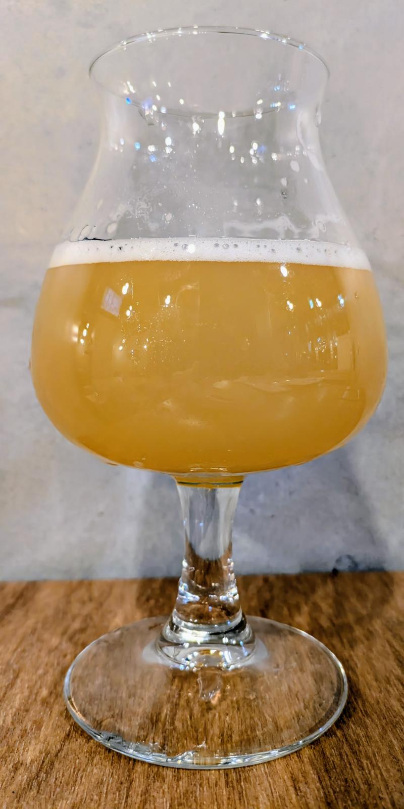 Tropical Fusion - Freestyle Festival 2026