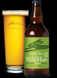 Wild Hare