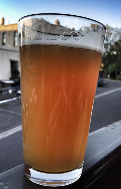 Lakeside APA