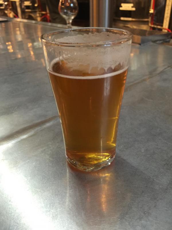 Sunnyvale Double IPA