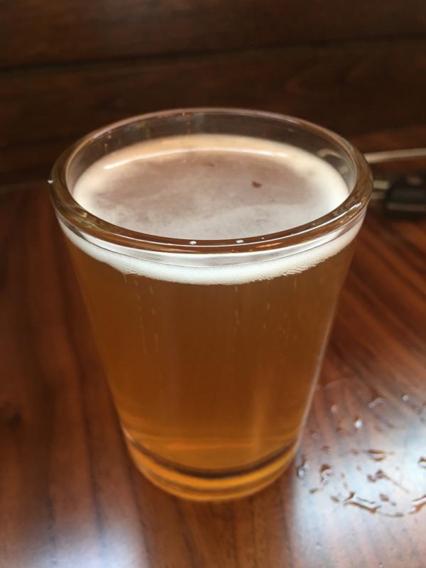 Lazy Dog Blonde Ale