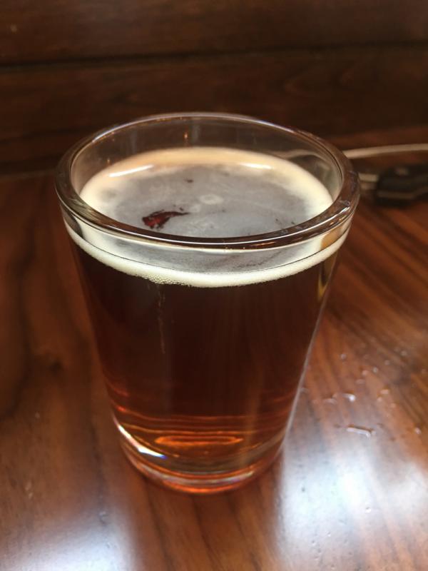 Lazy Dog Red Ale