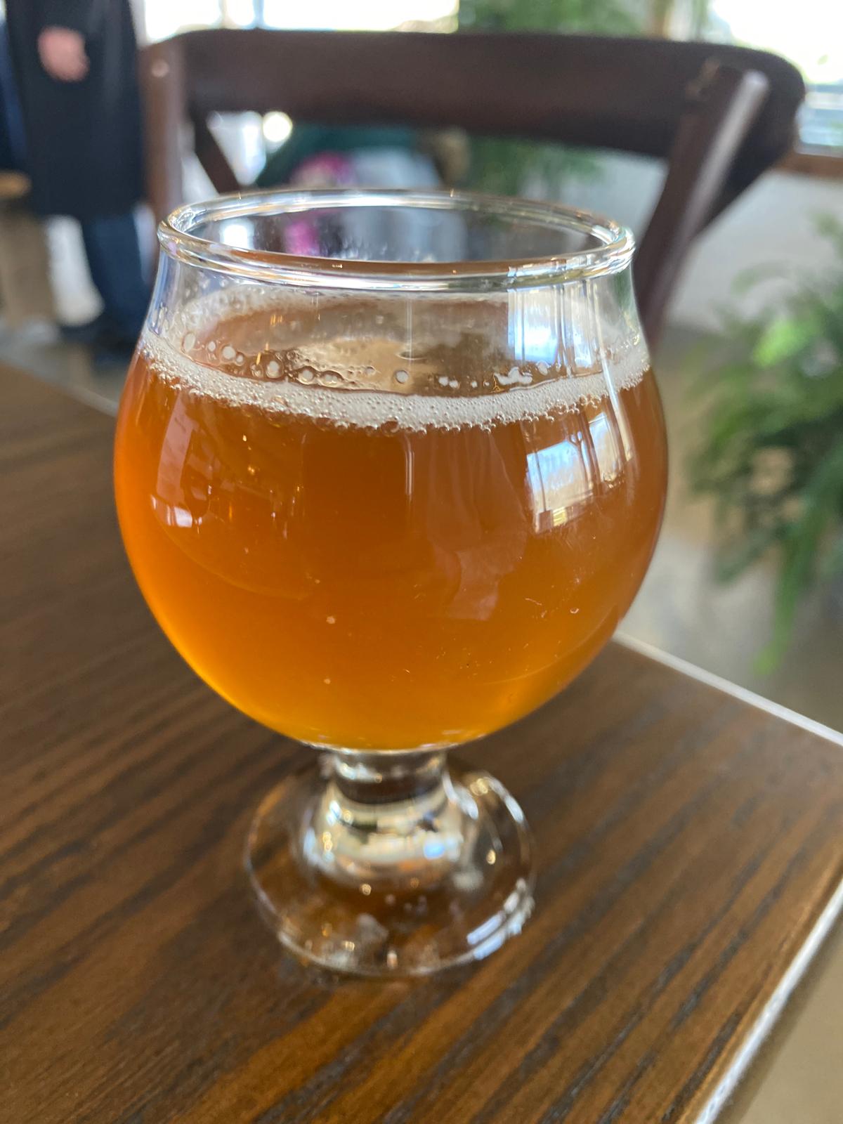 IPA