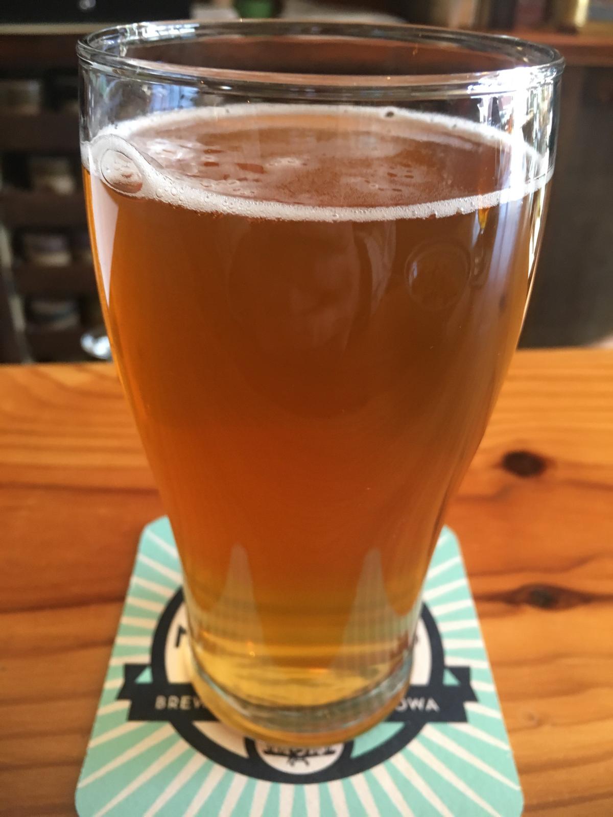 Creamy Vanilla Ale