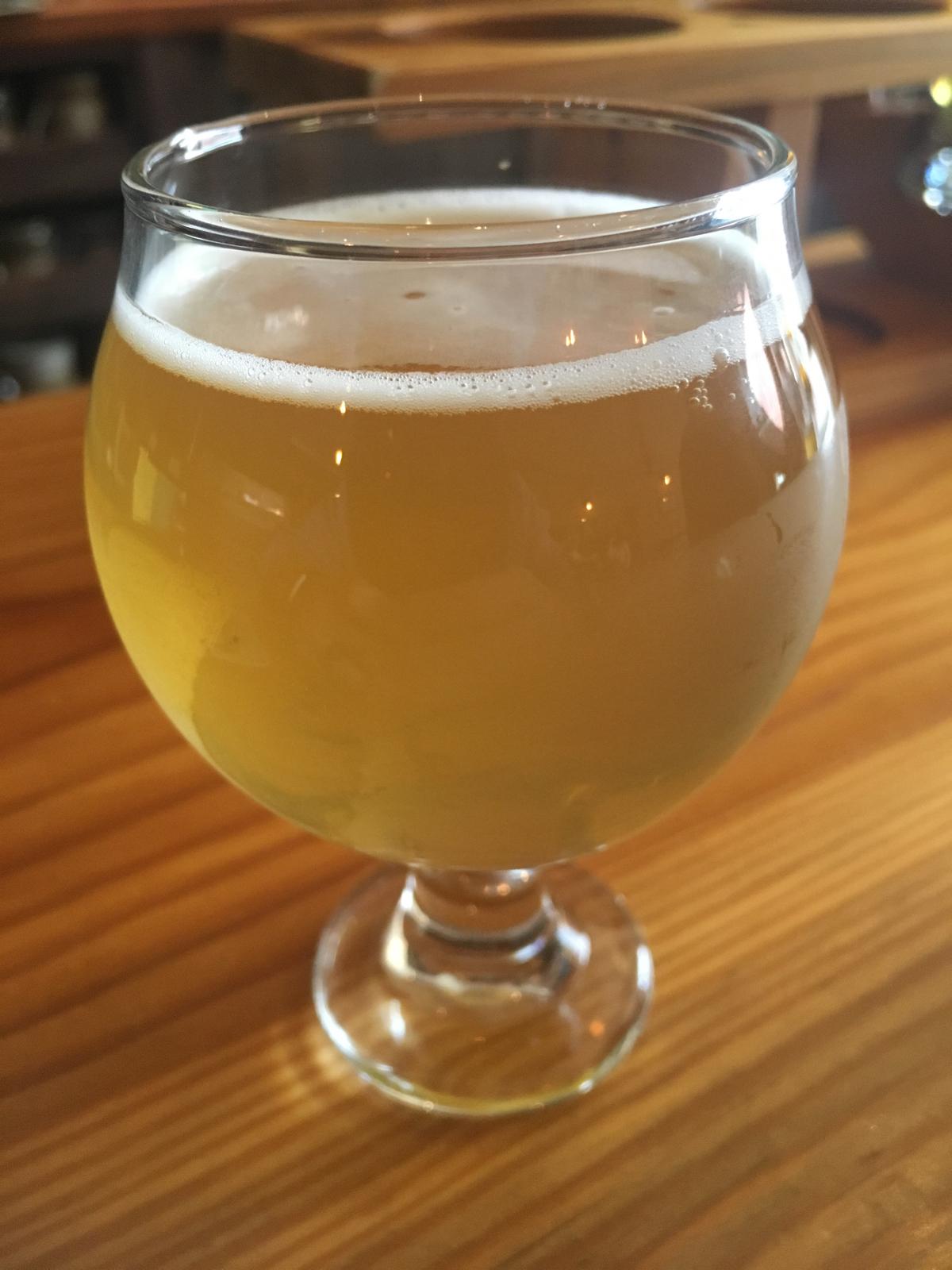 X5 Dry Hopped Saison