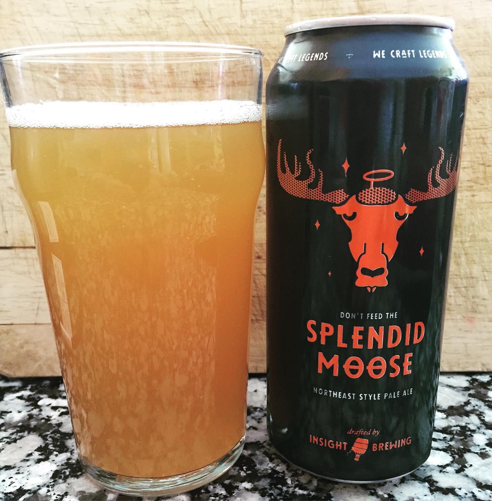 Splendid Moose