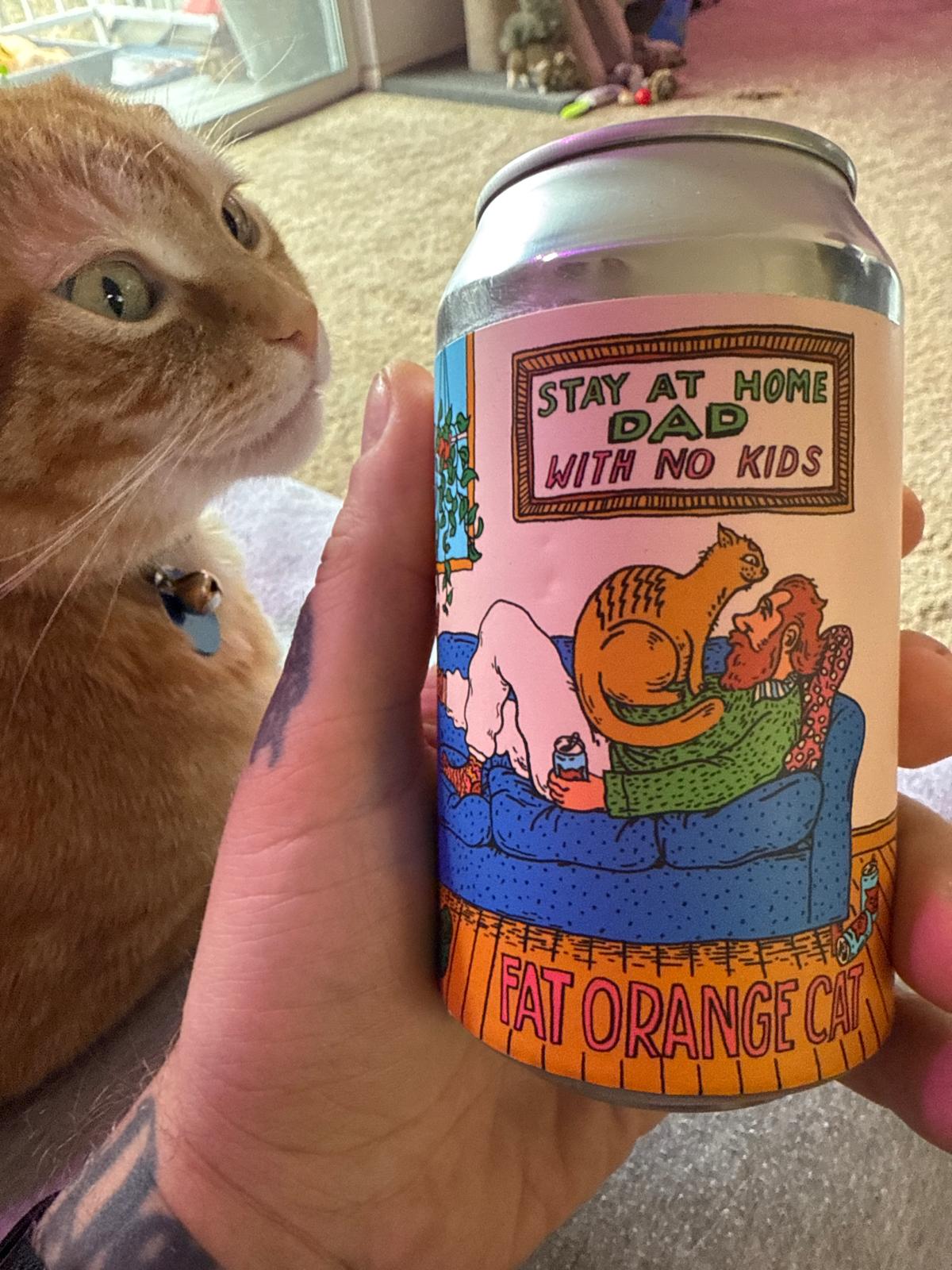 Stay at Home Dad with No Kids