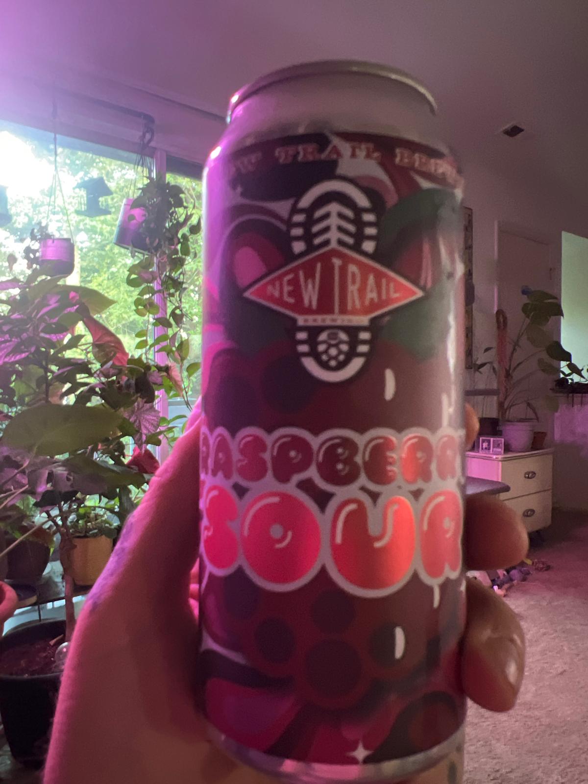 Raspberry Sour