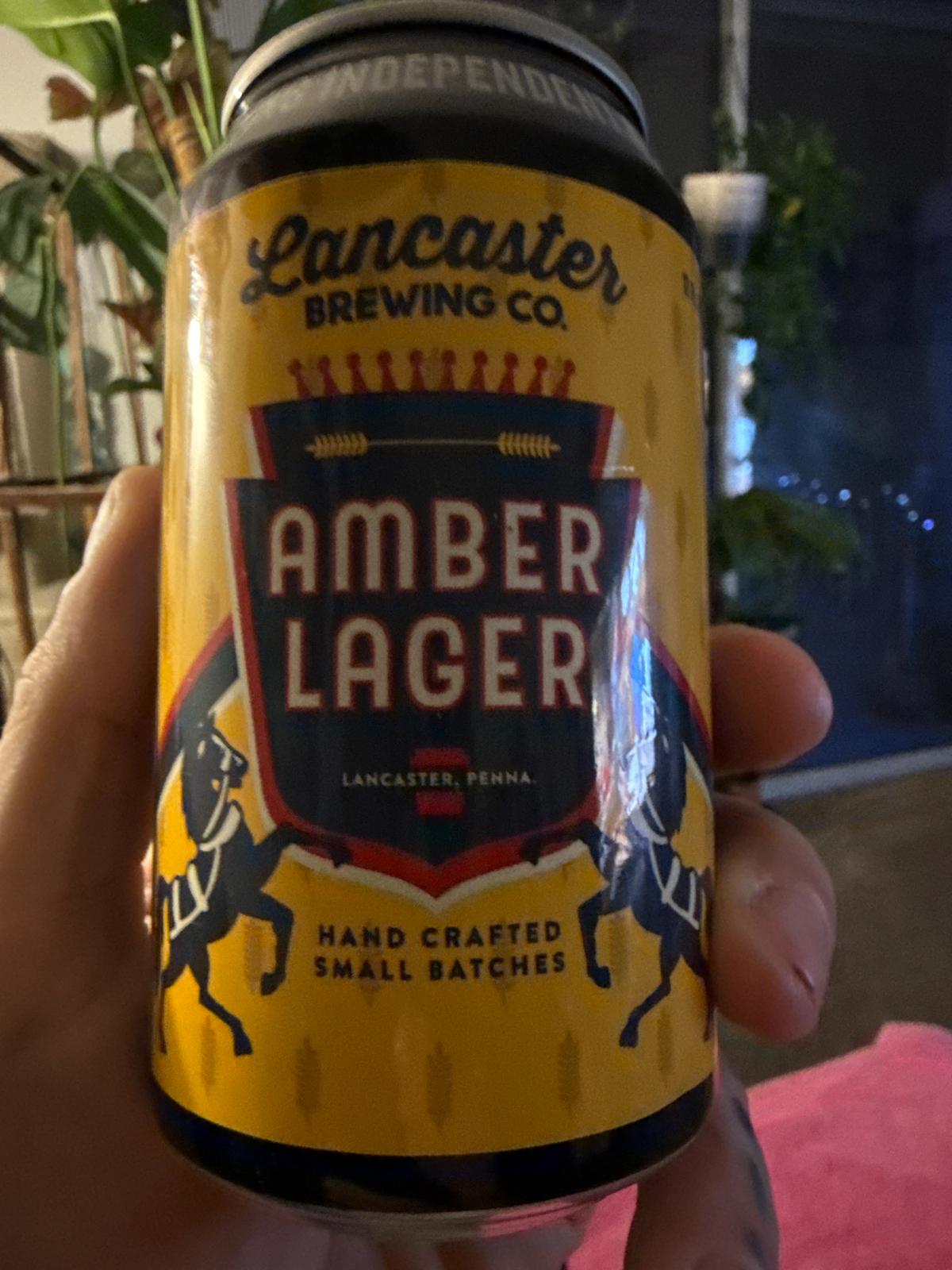 Amber Lager