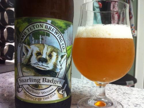 Snarling Badger