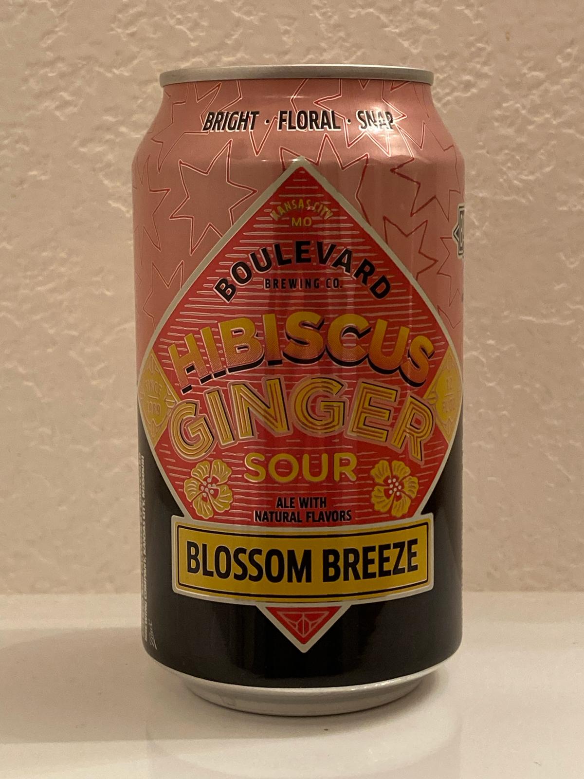 Blossom Breeze Hibiscus Ginger Sour